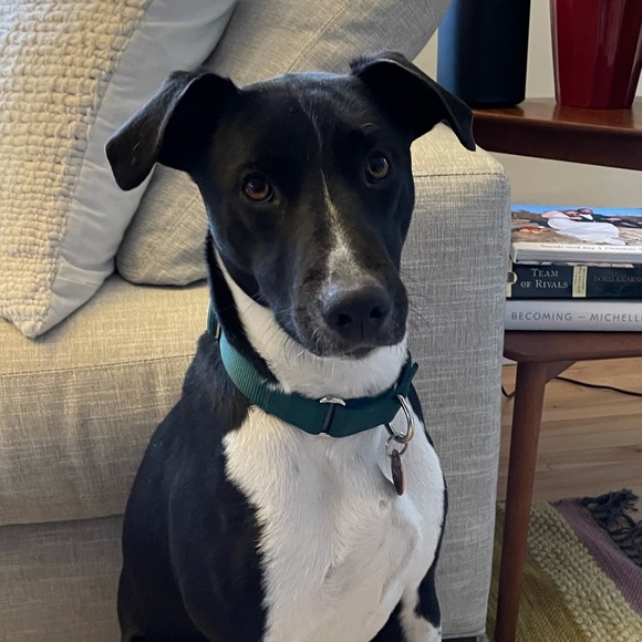 Meet your Posher, Jay - Picture 1 of 1